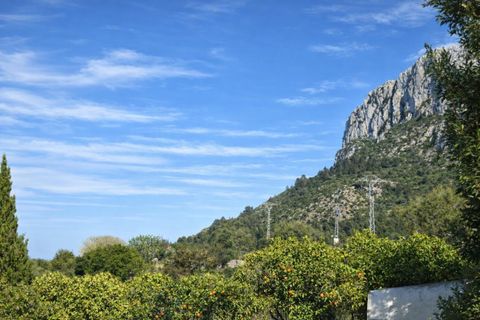 Tomt i Benimeli, Alicante, Benimeli - € 83 000 | Ref: PNPT297 - foto 21
